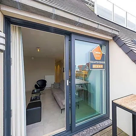 Modern With Spacious Terrace *